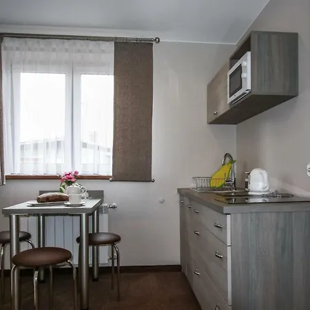 Ania Apartamenty Chocholow Exterior photo